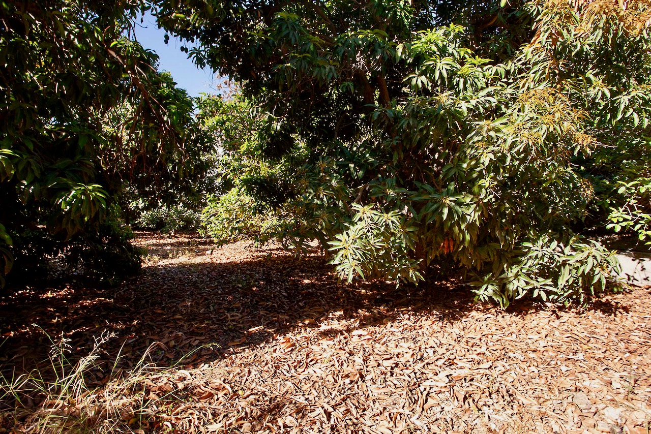 Finca Tejeda