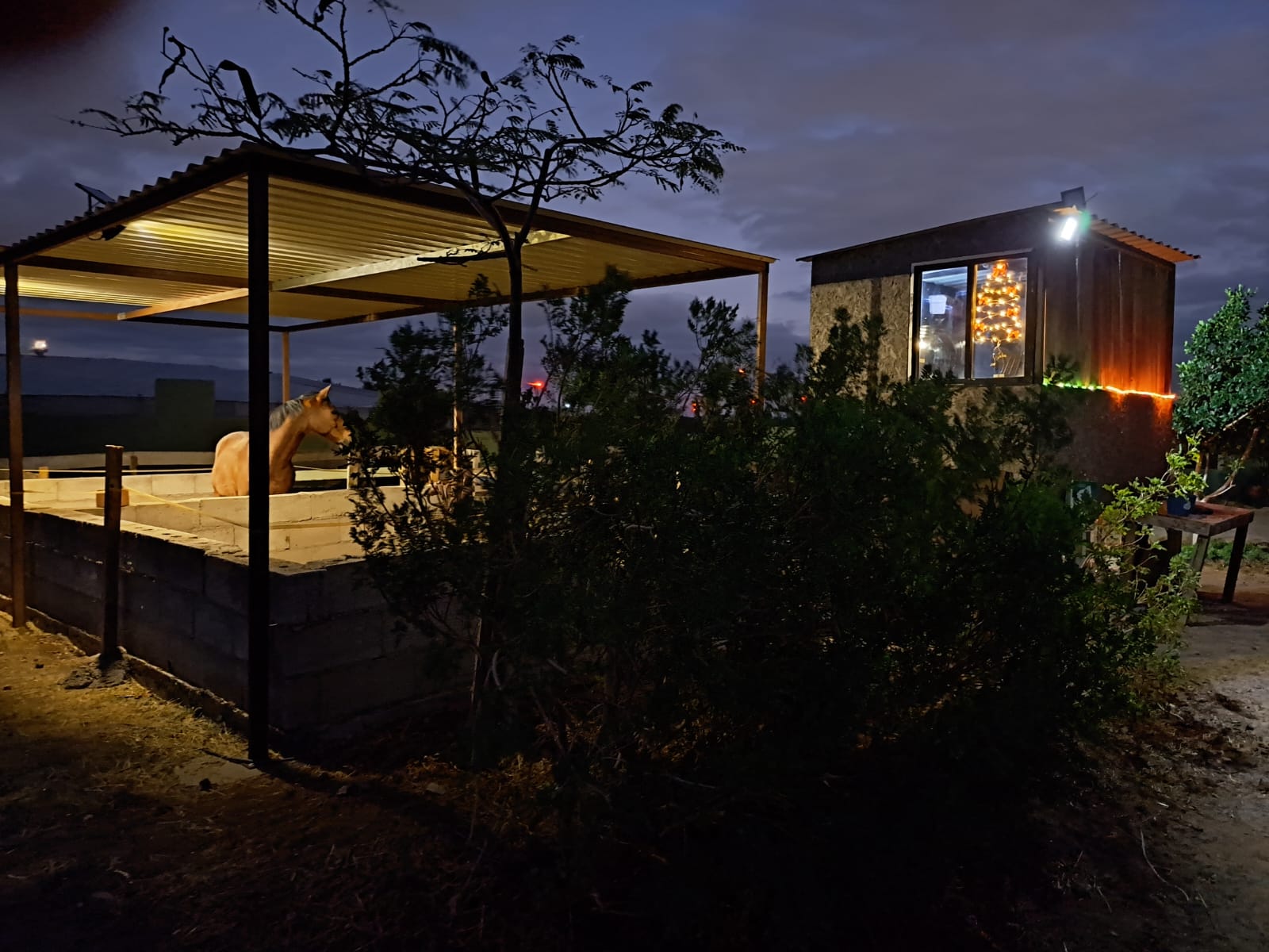 Finca Tejeda